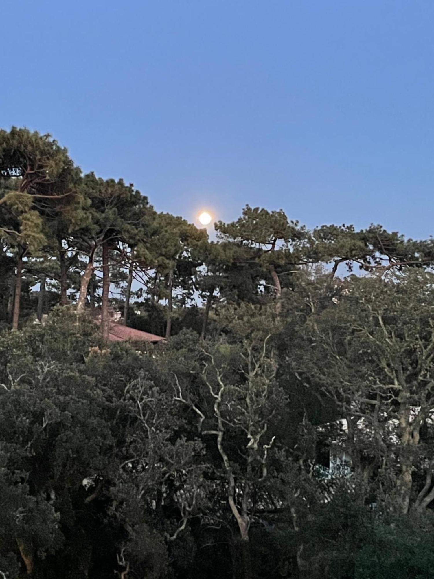 Apartmán Tao Soorts-Hossegor Exteriér fotografie